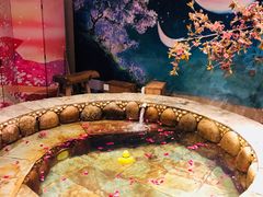-北京美神宫艺术主题温泉酒店