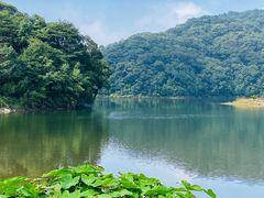 -广州市石门国家森林公园