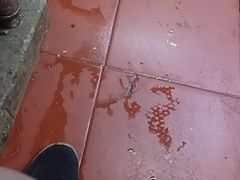 -肥肥虾庄·金牌油焖大虾(汉口城市广场店)