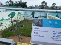 -西霞口神雕山野生动物世界