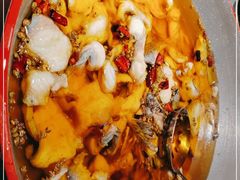 -雲蜀龙阁·金牌水煮鱼(方庄店)