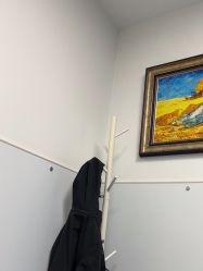 -温州伯思立医院