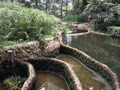 -成都市活水公园