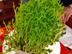 -黄家码头老火锅(解放碑旗舰店)