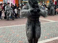 -成都欢乐谷