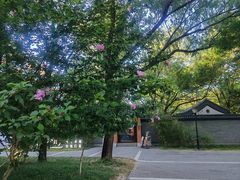 -玲珑塔公园
