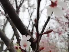 -白鹭湾湿地公园