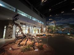 -自贡恐龙博物馆