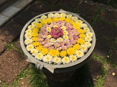 -四季酒店下午茶