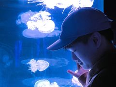 -福州罗源湾海洋世界旅游区