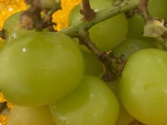 -贺富酒家(白藤二路分店)