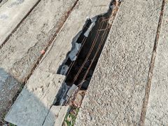 -小鱼草莓采摘园农家乐·小鱼餐厅