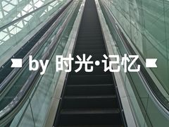 -凤凰中心