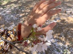 -中国海洋大学（崂山校区）-图书馆