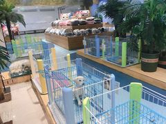 -龟与熊猫宠物公园(南坪店)