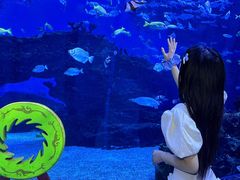 -海合安成都极地海洋公园