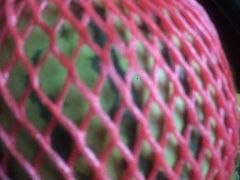 -白家餐厅(徐家汇店)