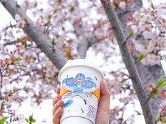 -Beans Solo豆号咖啡(百家湖花园店)