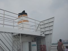 -武汉关码头(轮渡站)