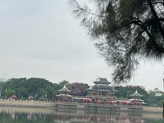 -集美学村