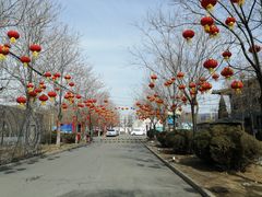 -二一九公园