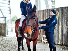 -松声马术俱乐部