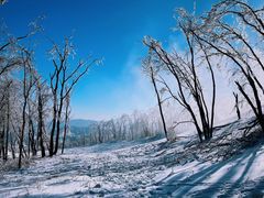 -中旅松花湖滑雪场