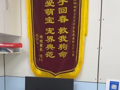 -中农国际动物医院24小时·猫科·骨科·急重症中心