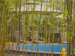 -崇阳三特浪口温泉