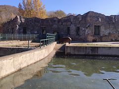 -哈尔滨北方森林动物园