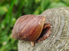 -七仙岭温泉国家森林公园