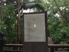-海口观澜湖火山温泉谷