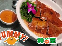 粤式深井烧鹅-谢氏老金口七号宴(武昌大道店)