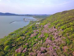 -苏州太湖国家湿地公园
