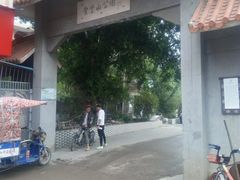 -长洲岛