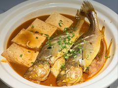 -船歌·鱼水饺青岛菜(恒隆广场店)