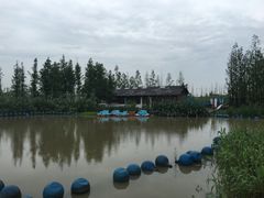 -田园东方蜜桃村的田野营地