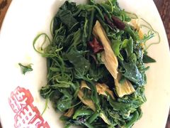 炝拌丝瓜尖-塞伊德·蒙餐(锡林浩特店)
