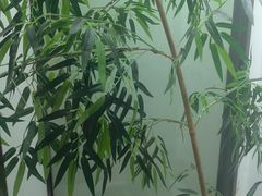 -见康道莱•足浴按摩•艾灸•SPA(友谊店)