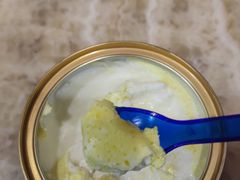 -德禄酸奶(莫家街店)