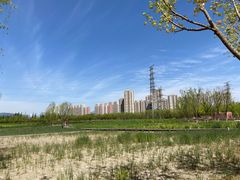 -永定河休闲森林公园