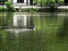 -北山公园