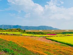 -光明小镇欢乐田园