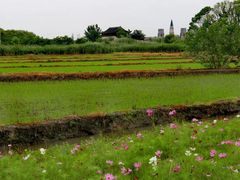 -广富林郊野公园