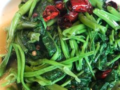 蒜炒空心菜-情妹耙泥鳅·江湖川菜(科华店)