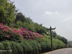-宜兴龙背山森林公园