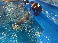 -华夏文旅海洋公园