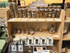 -北京周口店北京人遗址博物馆