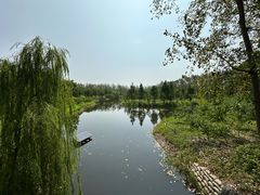 -合肥滨湖国家森林公园