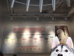 -斯坦星球AI编程·机器人科创·科学实验·信奥·思维·STEM·乐高·竞赛考级(长宁虹桥大融城荟聚中心)